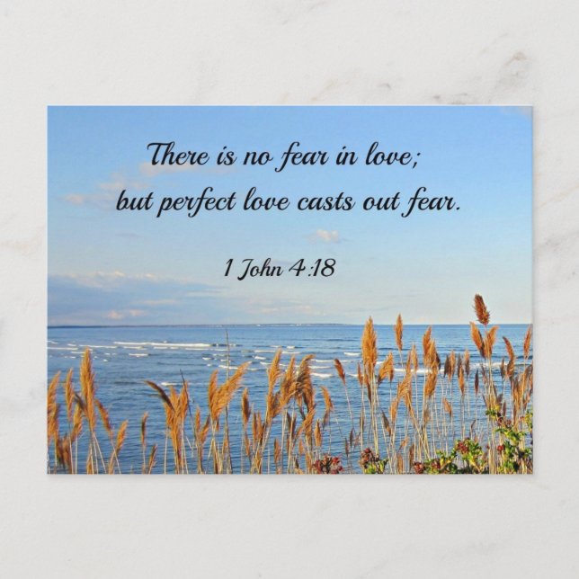 1 John 4:18 There is no fear in love; but perfect Postcard (Front)