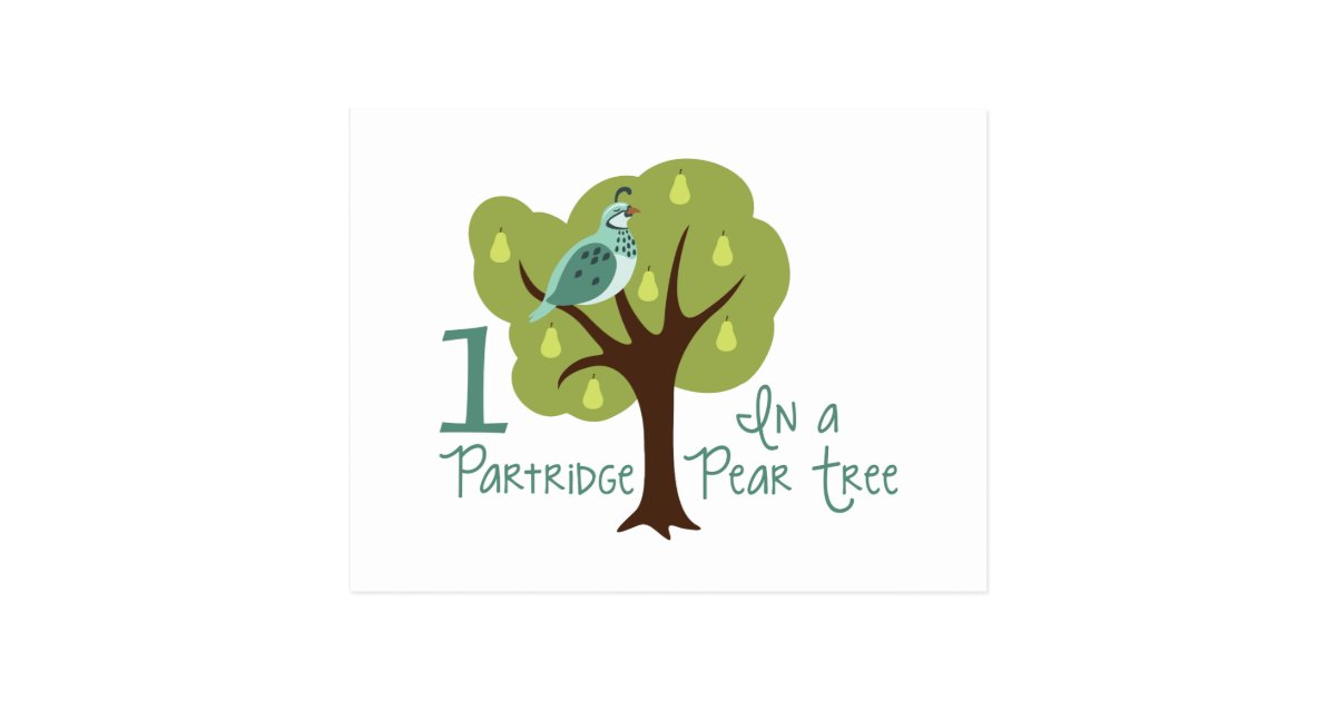 partridge in a pear tree pillow