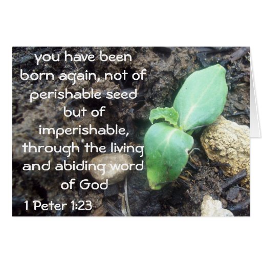 1 Peter 1:23 Greeting Card | Zazzle