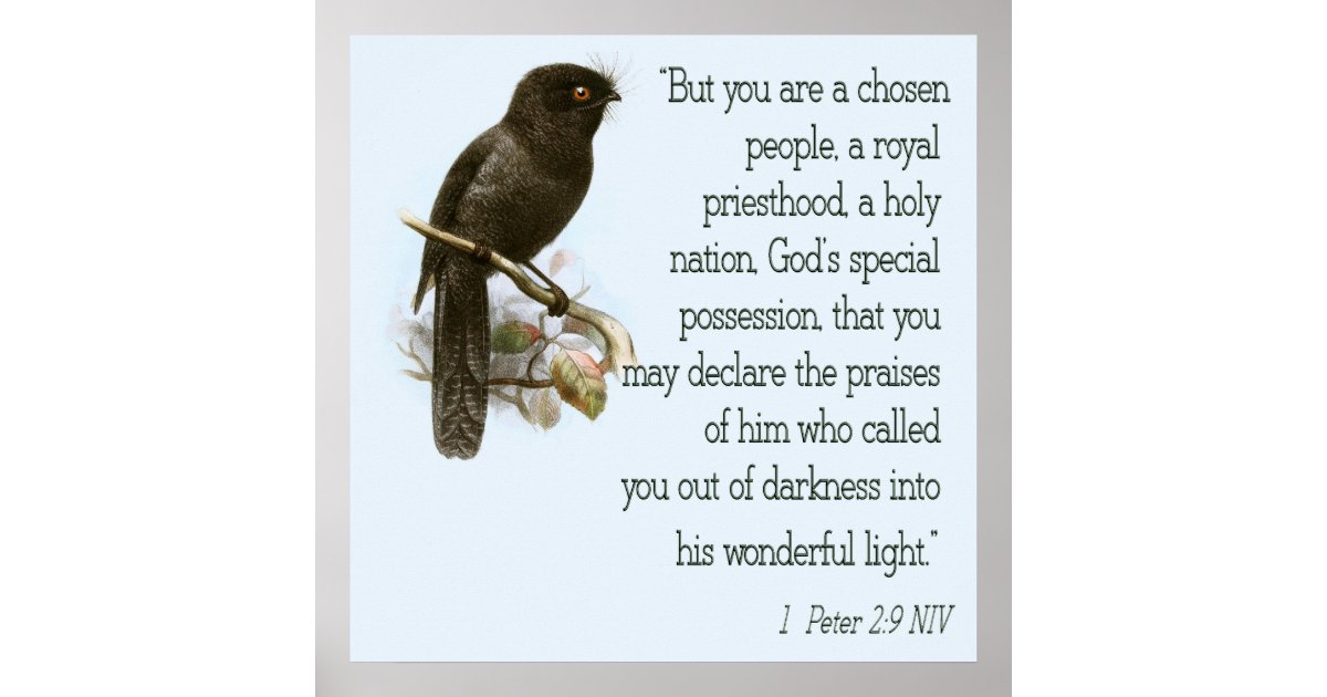 1 Peter 2 9 Christian Scripture Poster Bible Verse