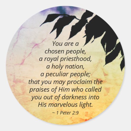 1 Peter 29 You are a Chosen People Bible Classic Round Sticker