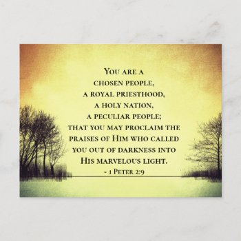 1 Peter 2:9 You Are A Chosen People  Bible Postcard by CChristianDesigns at Zazzle