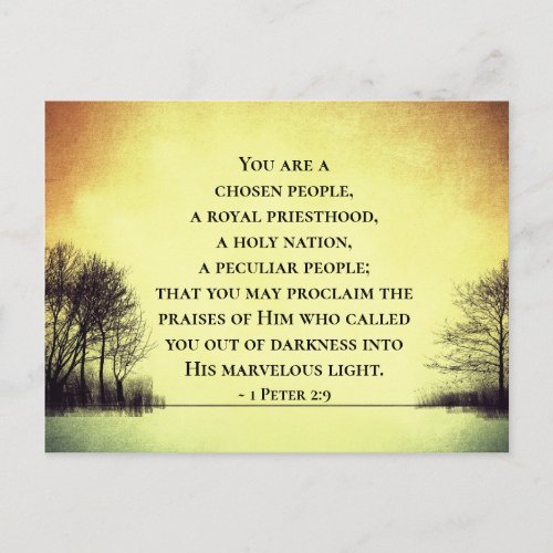 1 Peter 29 You are a Chosen People Bible Postcard