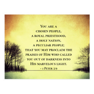 1 Peter 29 You Are A Chosen People Bible Postcard