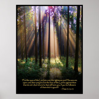 1 Peter 3:12-13 Christian Bible Verse Poster