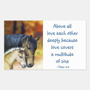 1 Peter 4 :8 Above All Love Deeply Inspirational Rectangular Sticker