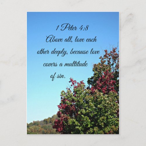 1 Peter 48 Above all love each other deeply Postcard