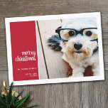 1 Photo Collage Minimal Christmas green christmas  Holiday Card<br><div class="desc">Vintage red Plaid Pattern on the back - A simple,  minimalist Holiday greeting with 1 square photo and modern calligraphy. Crop your photos into squares before uploading.</div>