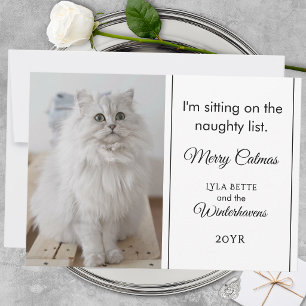 1 Photo Family Pet Funny Naughty List Humor Script Holiday Card