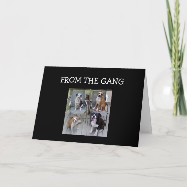 "#1 SON AND GRAD" GROUP CARD (Front)