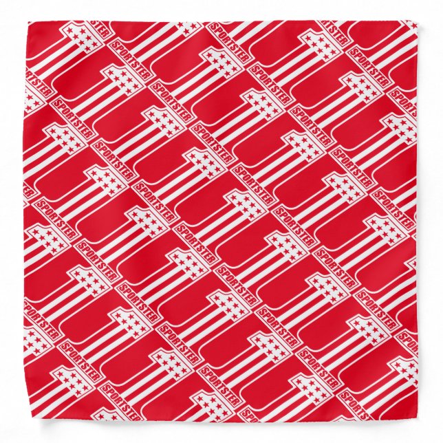 #1 Sportster Bandana (Front)