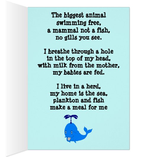 1 The Whale (Inside (Right))