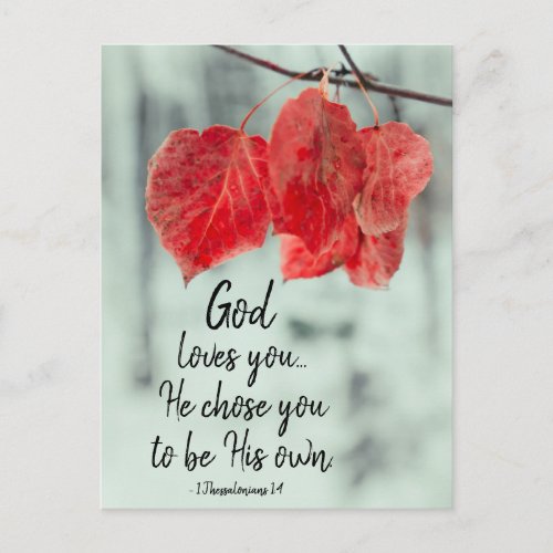 1 Thessalonians 14 God loves youHe chose you Postcard