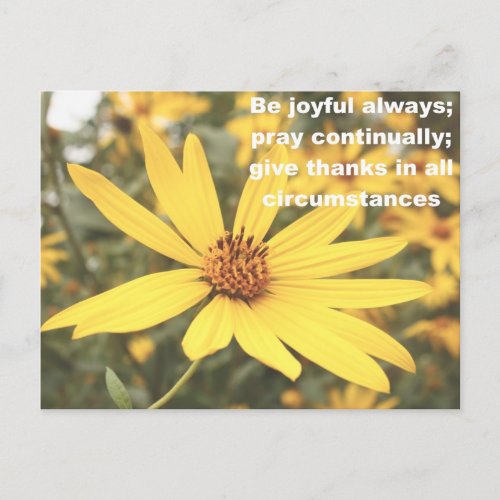 1 Thessalonians 516_18 Sunflower Postcard