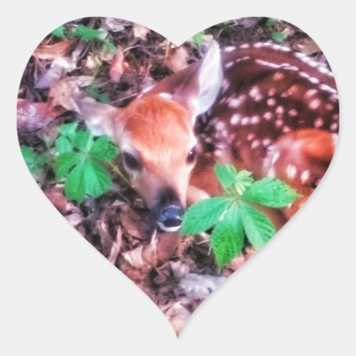 1FAWN HEART STICKERS