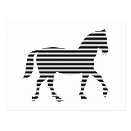 1PHorse - strips - black and white. Postcard