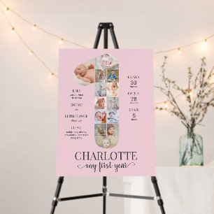 1st Birthday Baby Girl Milestone Photo Pink Foam Board