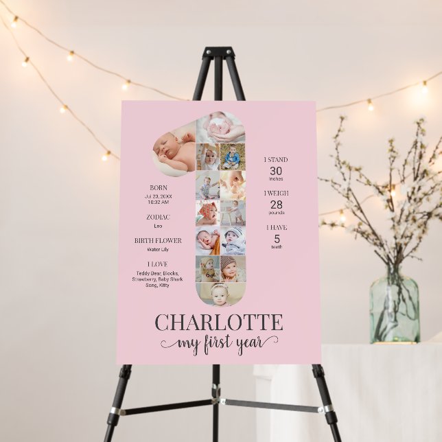 1st Birthday Baby Girl Milestone Photo Pink Foam Board (In Situ (Stand))