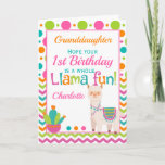 1st Birthday Cute Llama Fun Granddaughter Card<br><div class="desc">A fabulous colorful polka dot and chevron 1st  birthday card.  Send to a baby girl to wish her a  'whole llama fun' on her birthday. Bright pinks,  teals and orange make this a eye catching design. Personalize with your own message. Perfect for a great  granddaughter or niece.</div>