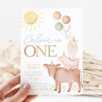 1st Birthday Farm Animals Barnyard Party Boys Invitation