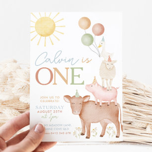 1st Birthday Farm Animals Barnyard Party Boys Invitation