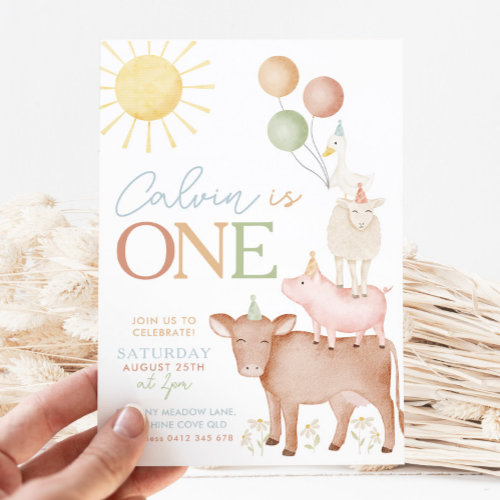 1st Birthday Farm Animals Barnyard Party Boys