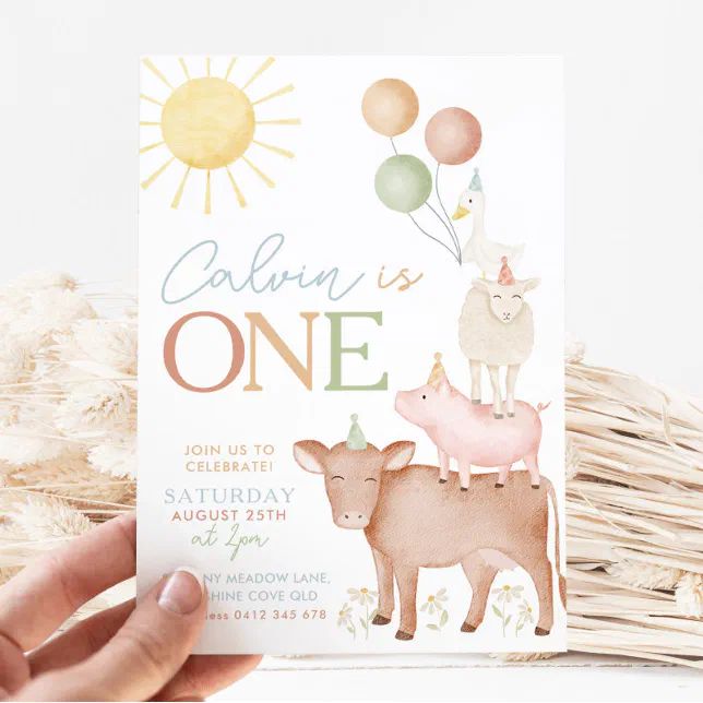 1st Birthday Farm Animals Barnyard Party Boys Invitation | Zazzle