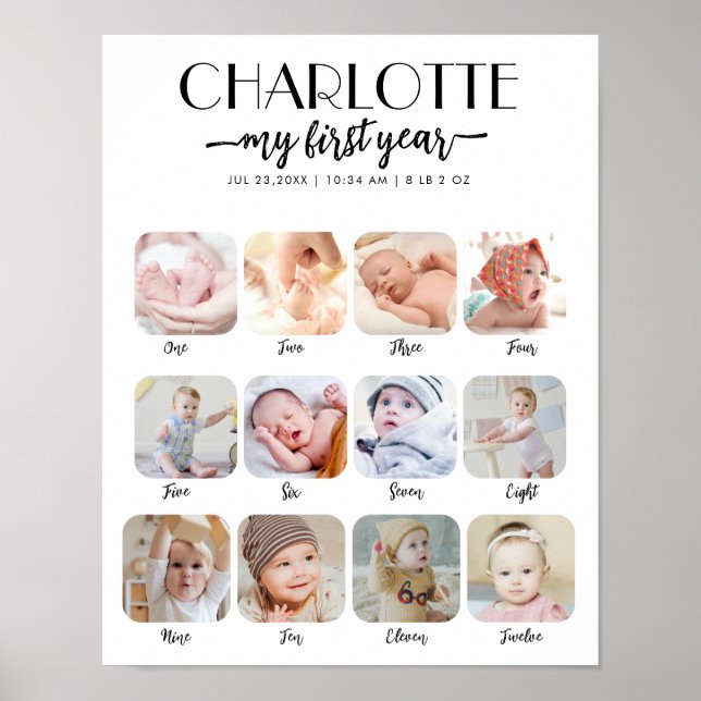 1st Birthday Milestone My First Year Photo Poster (Front)
