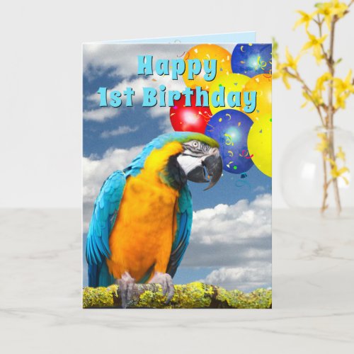 1st Birthday Parrot Colorful Balloons Card