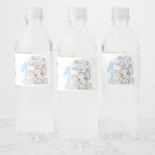1st Birthday Party Boy Water Bottle Label