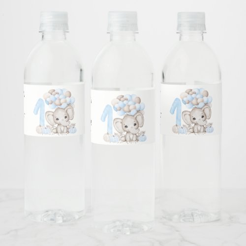 1st Birthday Party  Boy  Water Bottle Label