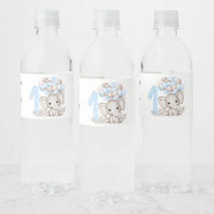 1st Birthday Party Boy Water Bottle Label
