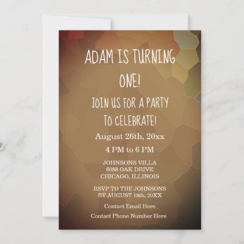 1st Birthday Party Custom Terracotta Earth 2024 Invitation