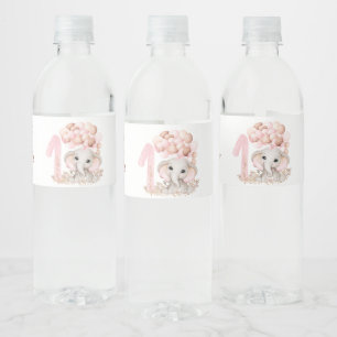 1st Birthday Party Girl Water Bottle Label