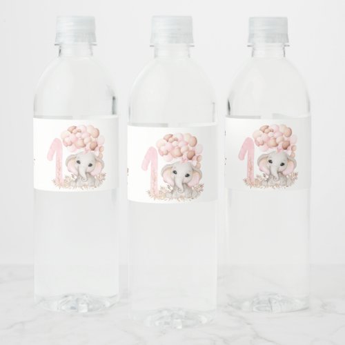 1st Birthday Party  Girl  Water Bottle Label
