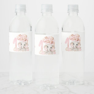 1st Birthday Party Girl Water Bottle Label