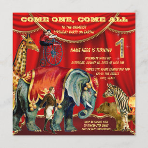 1st Birthday Party Invitation