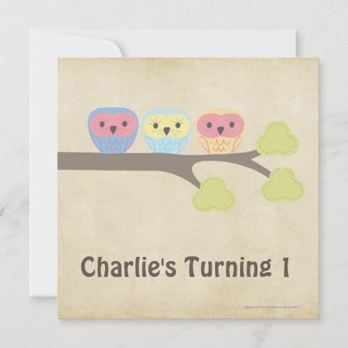 1st Birthday Party Retro Baby Owls Invitation