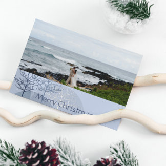 1st Christmas Blue Holiday Tree or Anyone Photo Card