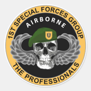 1st Special Forces Group Skull Classic Round Sticker