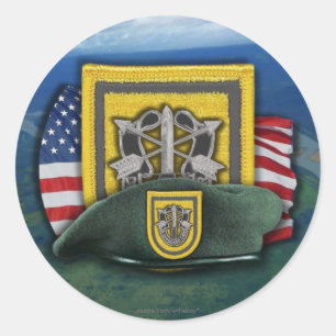 1st Special forces veterans vets flash nam Sticker