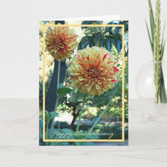 1st Wedding Anniversary Wishes Chrysanthemums Card (Front)