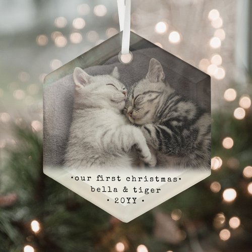 1st Xmas 2 Cats or Any Pet Simple Photo Hexagon Glass Ornament