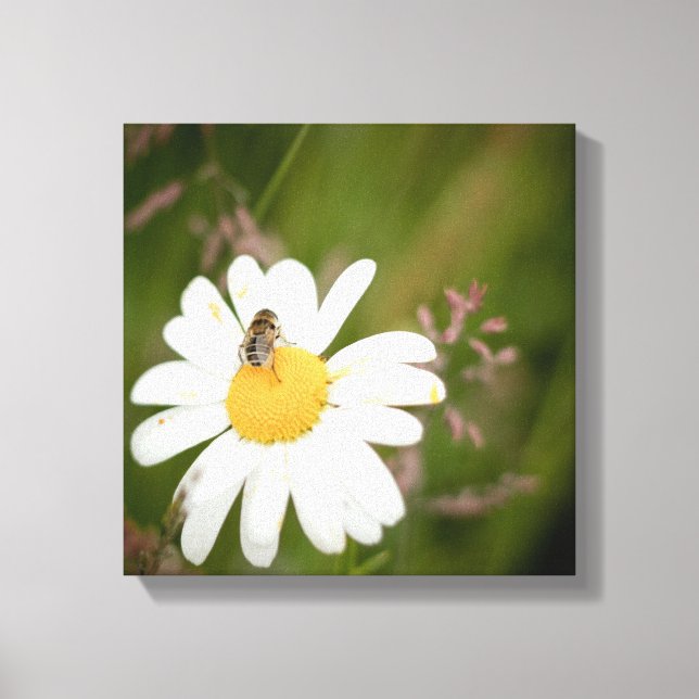 1x1 Collection, Flower with Honey Bee Canvas Print (Front)
