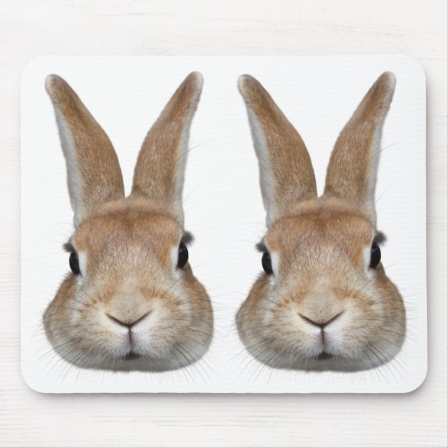 2匹のウサギの顔 MOUSE PAD (Front)