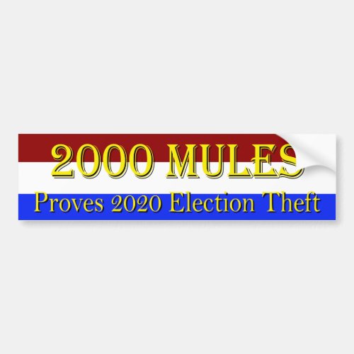 2000 Mules Bumper Sticker