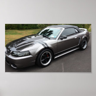 2000 Ford mustang gt posters #8