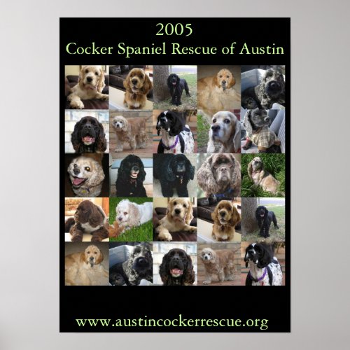 2005 Cocker Spaniel Rescue Poster