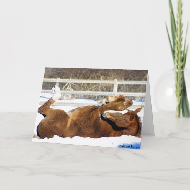 2005 OMRH Christmas Card Honorable Mention (Front)