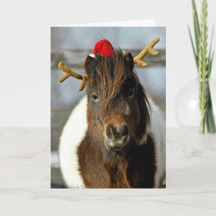 2005 OMRH Christmas Card Photo First Place Winner